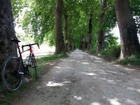 20170513_120911.jpg