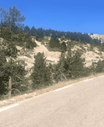 Adsız.png Adsız.png