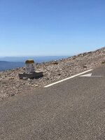 IMG_6354.JPG IMG_6354.JPG