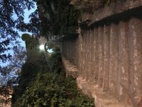 IMG_1257.JPG IMG_1257.JPG