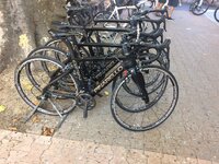 IMG_6248.JPG IMG_6248.JPG