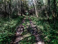 untitled-153732.jpg untitled-153732.jpg