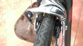 speedster_20 (2).jpg