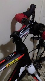 speedster_20 (3).jpg