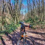 scott_aspect_710_pedalgunlugu (1).jpg