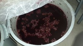 WhatsApp Image 2017-10-07 at 18.30.13.jpeg