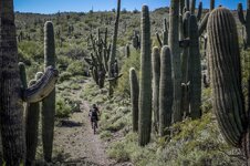 black-canyon-trail-17.jpg black-canyon-trail-17.jpg