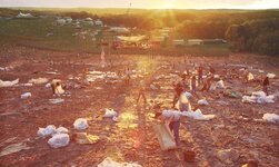 Taking_Woodstock-hist.jpg