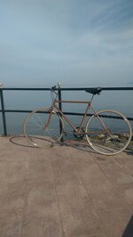 IMG-20171022-WA0004.jpeg IMG-20171022-WA0004.jpeg