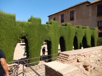 DSCN0970.JPG DSCN0970.JPG