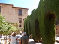 DSCN0971.JPG DSCN0971.JPG