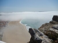 DSCN1695.JPG DSCN1695.JPG