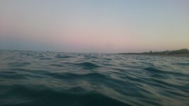 DSC_0556.JPG DSC_0556.JPG