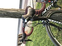 IMG_1368.JPG IMG_1368.JPG