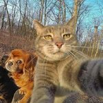 FB_IMG_1511031990708.jpg