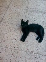 IMG_20170627_135555.jpg