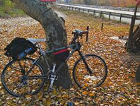 aviary-image-1510835243404.jpeg aviary-image-1510835243404.jpeg