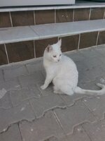 IMG_20170523_131318.jpg
