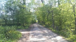 IMAG0145.jpg