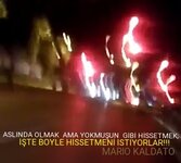 aviary-image-1513639690893.jpeg aviary-image-1513639690893.jpeg