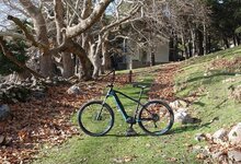 focus35.jpg focus35.jpg