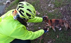 WhatsApp Image 2018-01-01 at 16.34.21.jpeg