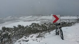 20160119_111440.jpg
