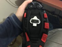 0B9D4E69-114B-4740-84C7-39F0861B26B0.jpeg
