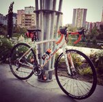 IMG_2637.JPG IMG_2637.JPG