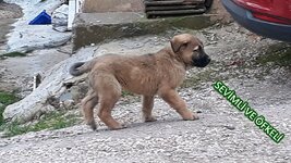 WhatsApp Image 2018-02-04 at 10.18.24.jpeg