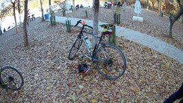 AB2656D1-6268-4A21-B7ED-12E6595B9728.jpeg