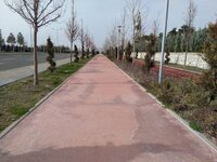 IMG_20180317_160429.jpg IMG_20180317_160429.jpg