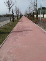 IMG_20180317_160437.jpg IMG_20180317_160437.jpg