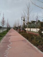 IMG_20180317_160442.jpg IMG_20180317_160442.jpg