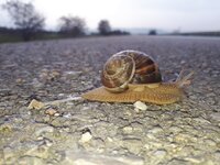 20180318_082733.jpg 20180318_082733.jpg