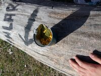 20180317_150723.jpg 20180317_150723.jpg