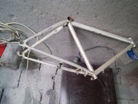 20180321_170216.jpg 20180321_170216.jpg