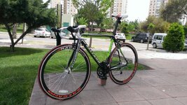 WP_20150428_018.jpg WP_20150428_018.jpg