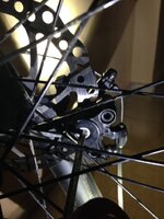 IMG_3769.JPG IMG_3769.JPG