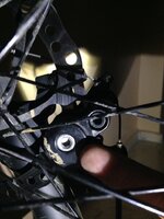 IMG_3768.JPG IMG_3768.JPG