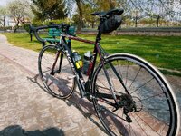 Fotor_152364372809883.jpg Fotor_152364372809883.jpg