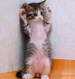 055-122210_20160605CDD0004.jpg 055-122210_20160605CDD0004.jpg