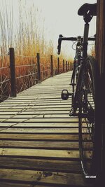 IMG_20180408_125420478.jpg IMG_20180408_125420478.jpg