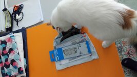 DSC_1818.JPG DSC_1818.JPG