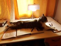 20180426_155326.jpg