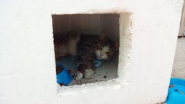 IMG_20180502_151446.jpg
