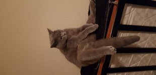 20180211_230537.jpg