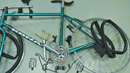 aviary-image-1526061723529.jpeg