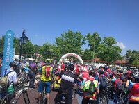 IMG_20180513_115045 (Large).jpg IMG_20180513_115045 (Large).jpg