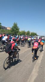 IMG_20180513_142656 (Large).jpg IMG_20180513_142656 (Large).jpg